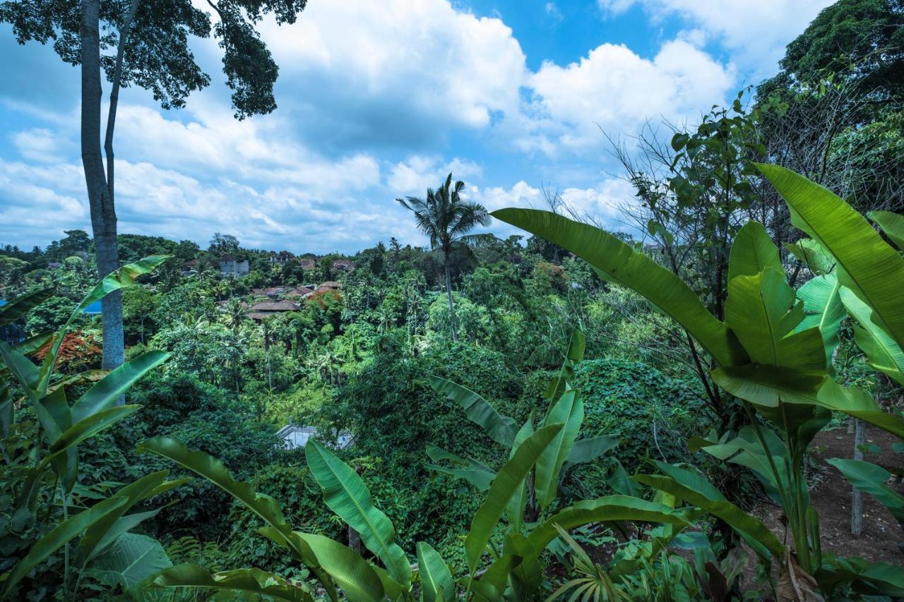 Murni'S Houses & Spa Ubud Esterno foto